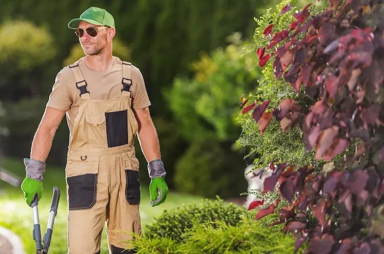 A landscaping crew working a maintenance route with commercial mowers on a residential property, representing recurring revenue, in a natural documentary style.