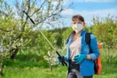 A pest control technician filming a short phone video of a treatment in a yard, in a natural documentary style.