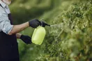 A pest control business owner setting up a Local Services Ads campaign on a laptop showing a Google Guaranteed badge, in a natural documentary style.