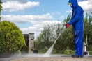 A pressure washing professional soft-washing the side of a two-story house with a wide spray, sunny day, documentary style.