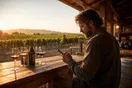 A winery owner checks his phone at a tasting room bar overlooking the vineyard rows at golden hour, natural documentary style.
