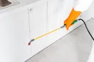 A pest control technician's open truck bed with a B&G sprayer, bait gun, and labeled chemical containers organized in a spill tray, in a natural documentary style.