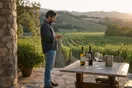A vineyard owner checks a phone on a sunlit stone patio overlooking rows of vines, a tasting table set nearby, natural documentary light.