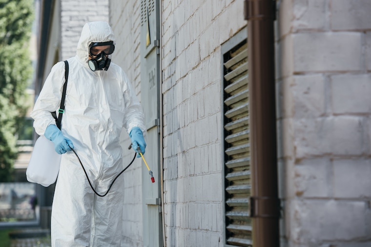 Identifying the ideal locations for pest control?