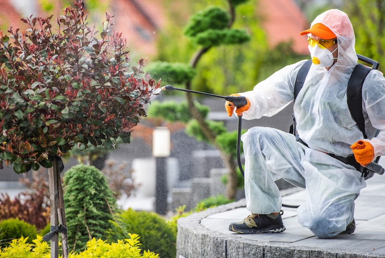 Best way to start and get into pest control