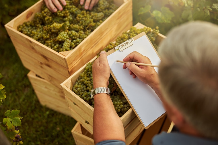 How much do you need to start a winery business