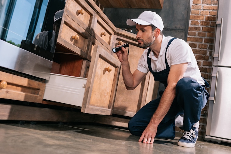 How much profit can a pest control make?