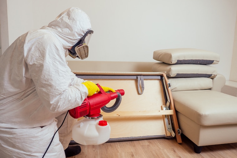 How to advertise pest control?