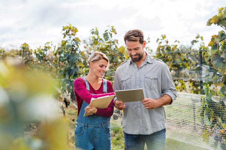 How to advertise winery business?
