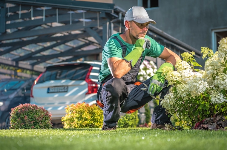 How to grow a landscaping business?