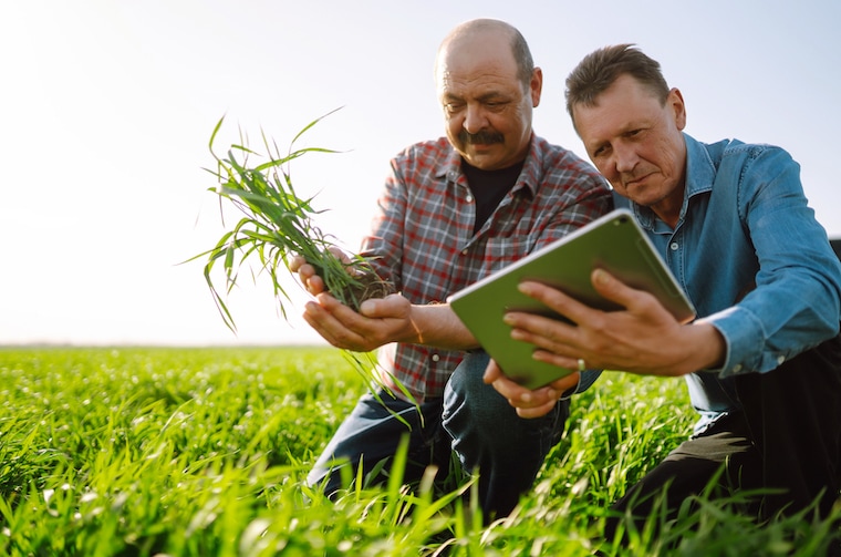 How to advertise your landscaping business on Facebook?