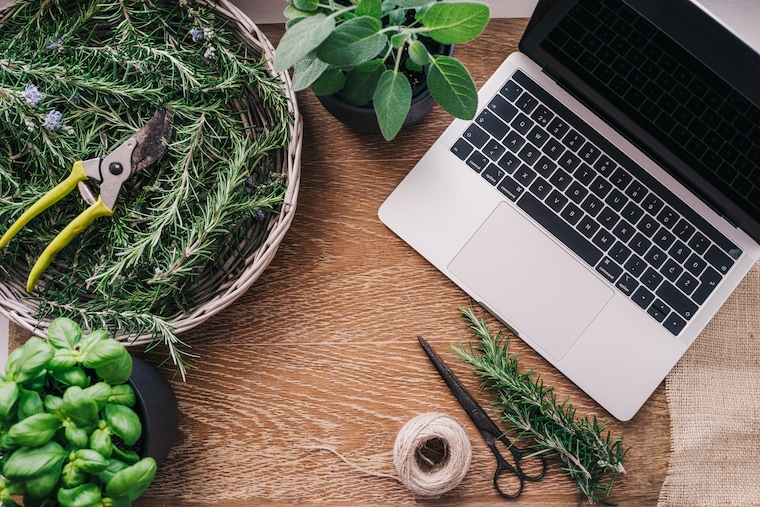 How to advertise your landscaping business on Google?