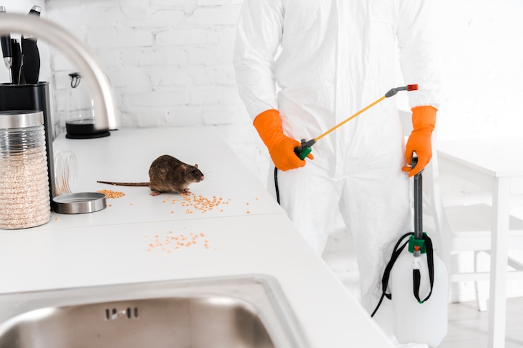 How to advertise pest control on Facebook?