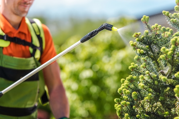How to promote pest control on Instagram?
