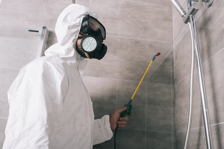 How to advertise pest control on Google?
