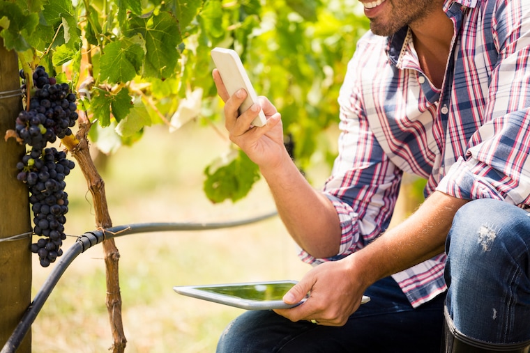 How to promote winery business on Tik Tok?