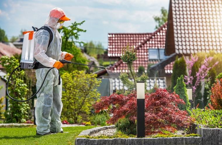 How to run Facebook for pest control?