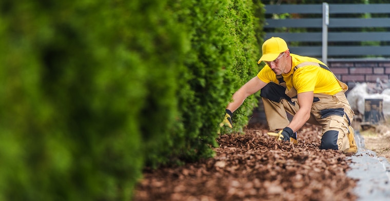 How to start a landscaping business Step by step