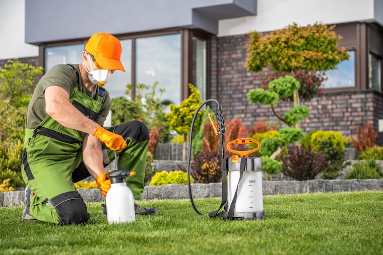 How to start a pest control Step by step